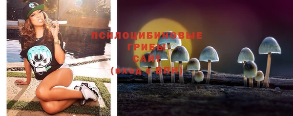 мдма Бородино