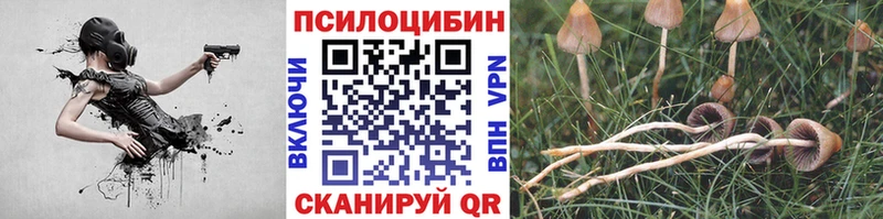 Псилоцибиновые грибы MAGIC MUSHROOMS  Верещагино 